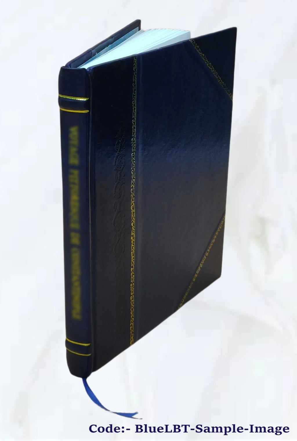 Visual Perceptions Volume 28 X3151