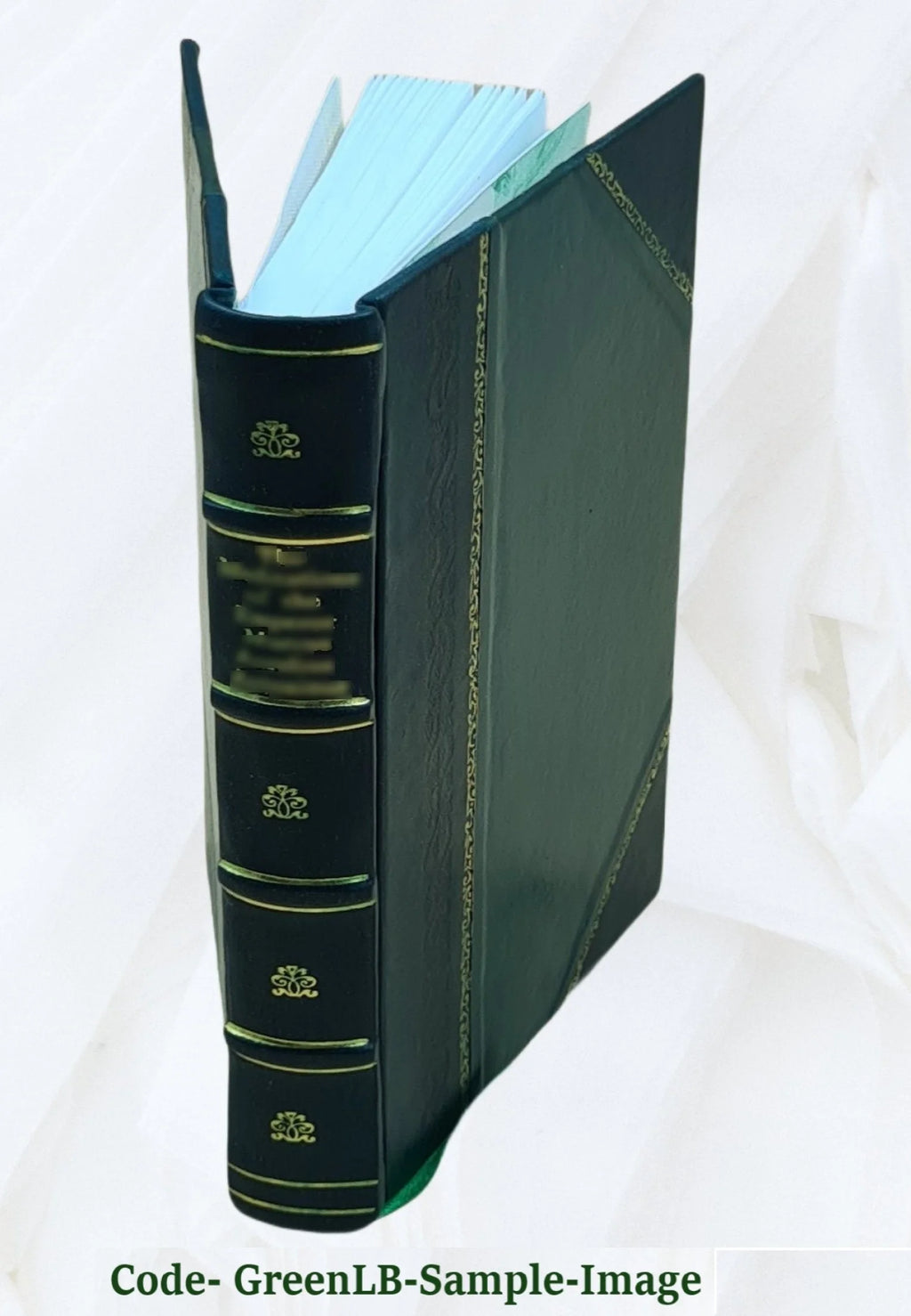 Leather Bound Book I5557