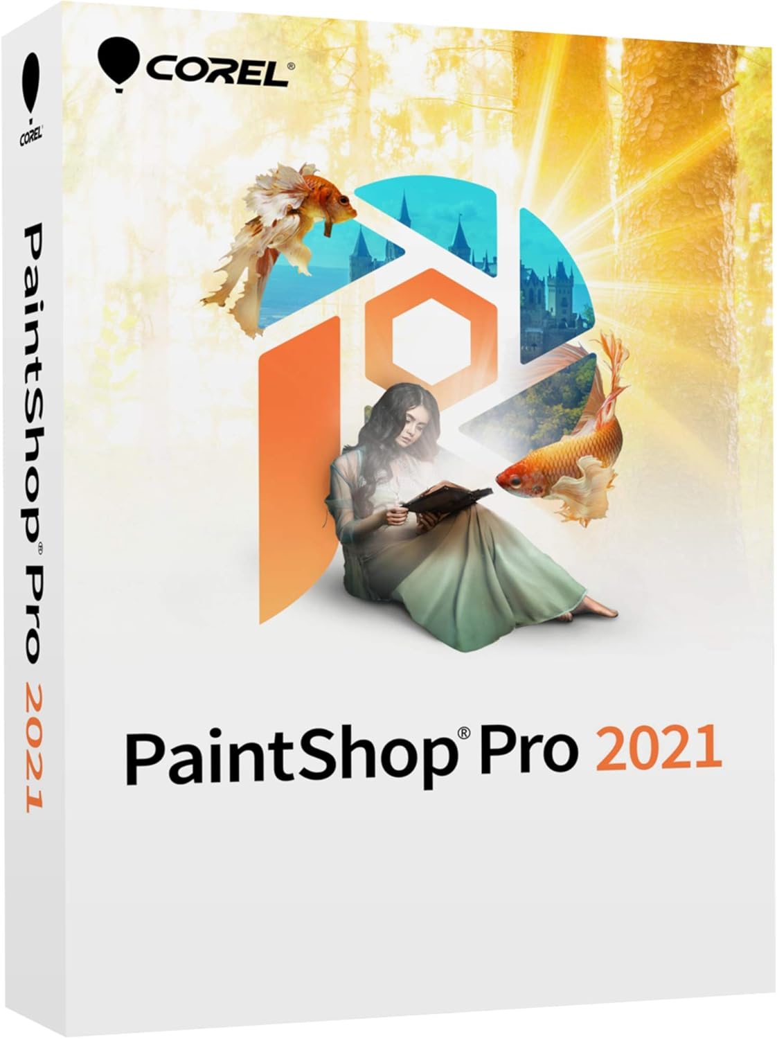 Photo Editing & Graphic Design Software [PC Disc] Pack of 2 W404