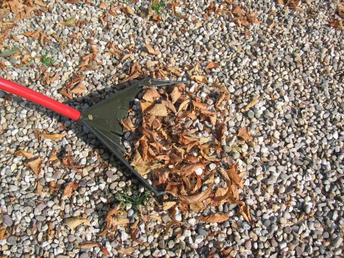 Rake I1661