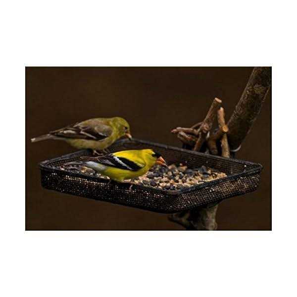 5 lb. Finches Supreme Wild Bird Food J3369