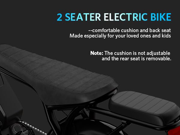 Electric Bike with 20" Fat Tire, 7-Speed Gear, Removable Battery Y581521