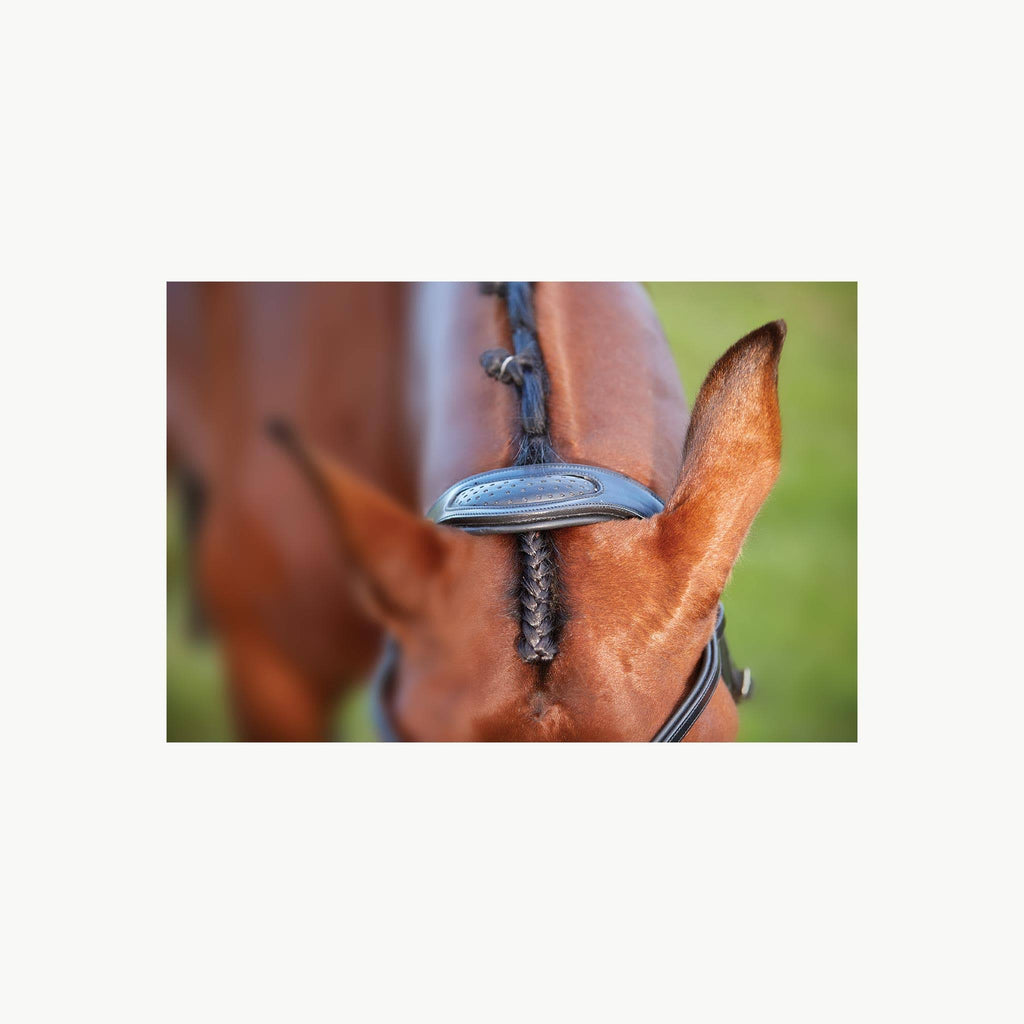 Black Full Training Bridle U689835