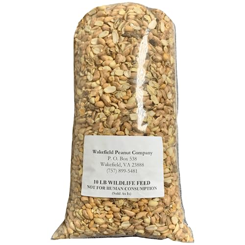 25 LBS Virginia Peanuts L879