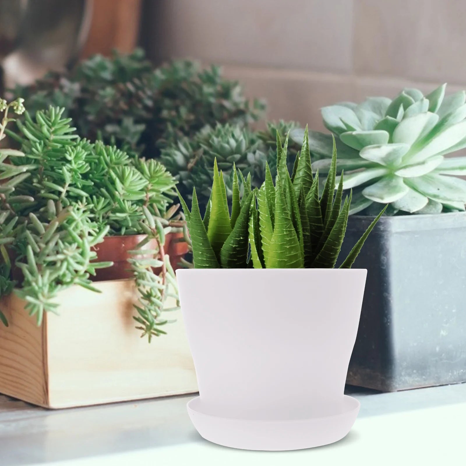 White 10 Pcs Flowerpot K85091
