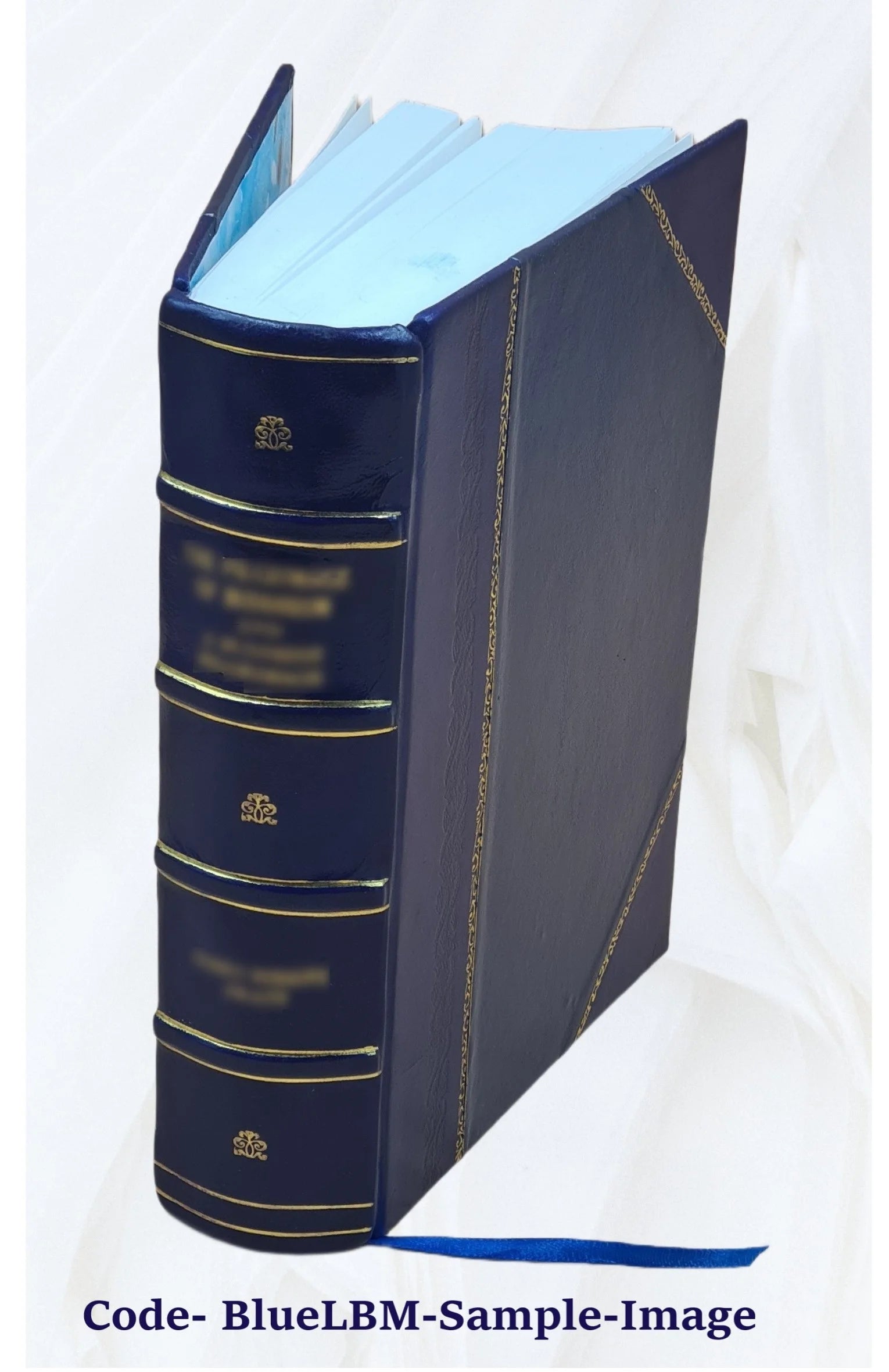 Leather Bound Book E851