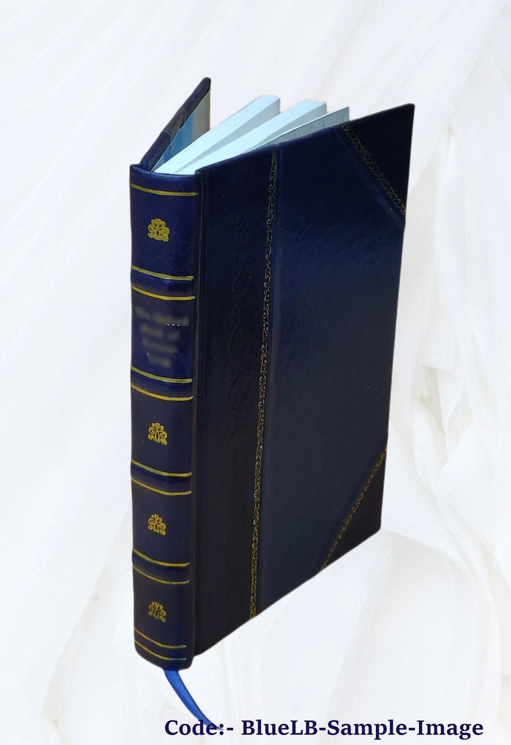 Leather Bound Book I5557