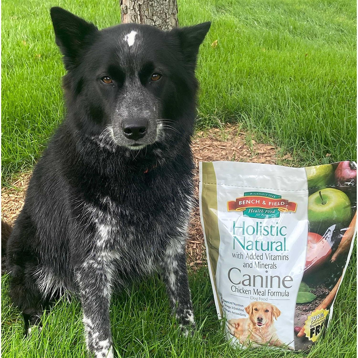 6.6 lb Chicken Meal and Brown Rice Recipe Dry Dog Food F54048