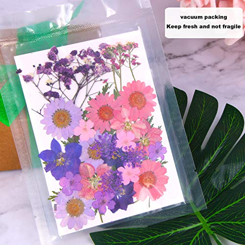 Black Dried Pressed Flowers, 120 Pcs Natural Dried Flowers X82529