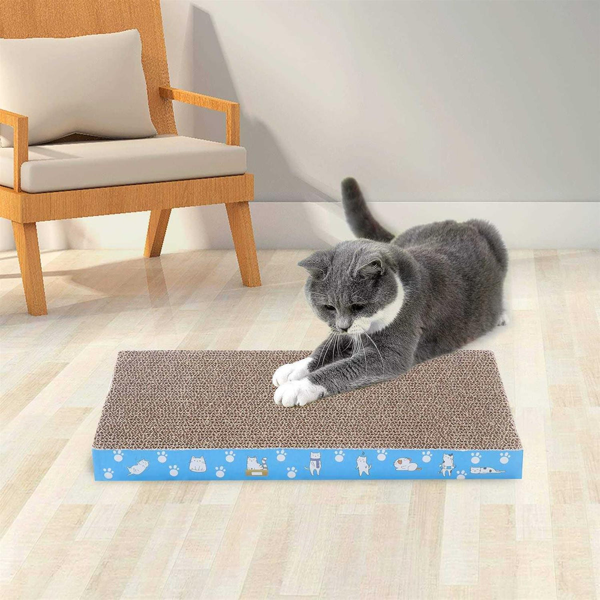 5 Pack Cat Scratch Pad Cardboard R760