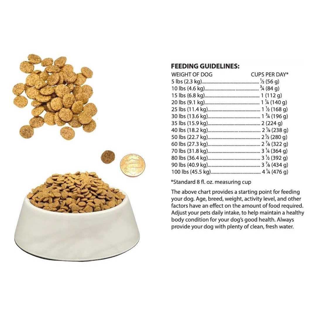 6.6 lb Chicken Meal and Brown Rice Recipe Dry Dog Food F54048