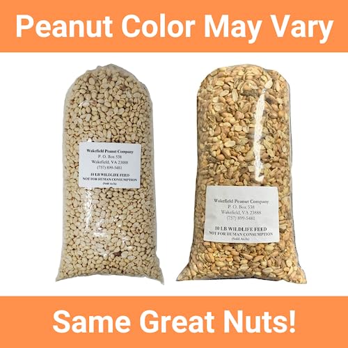 25 LBS Virginia Peanuts L879