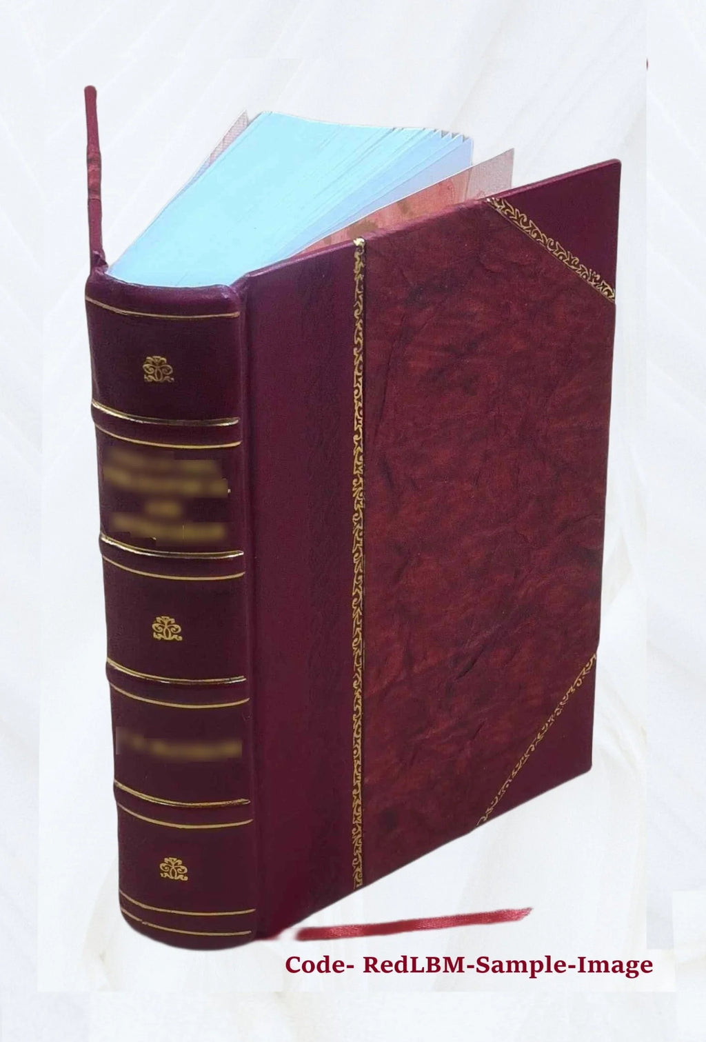 Leather Bound Book E851