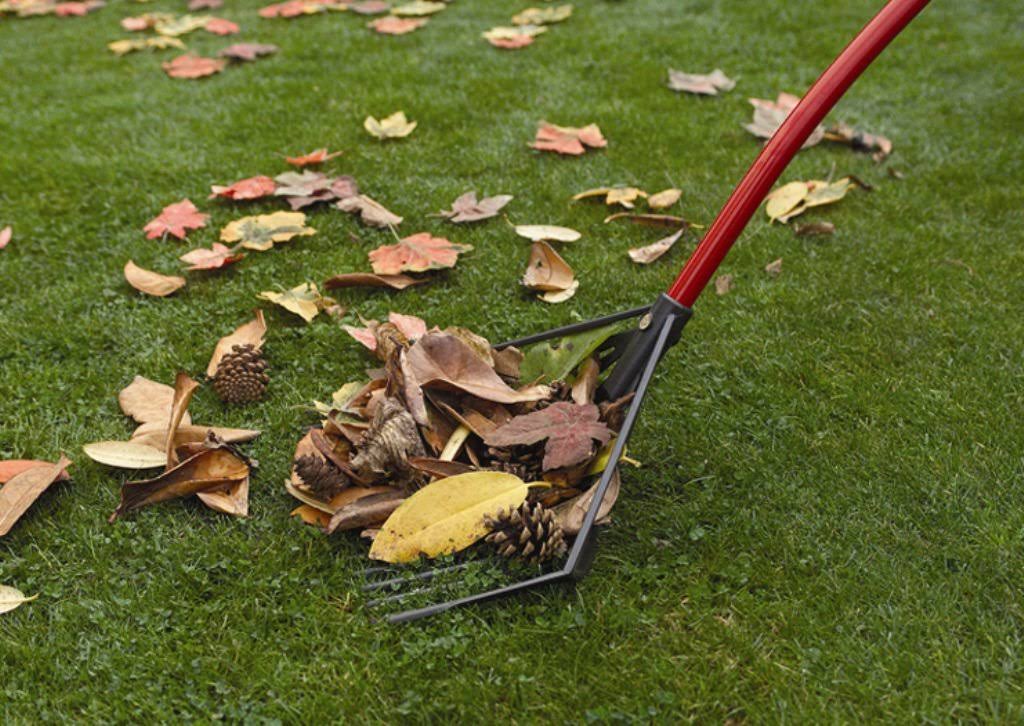 Rake I1661